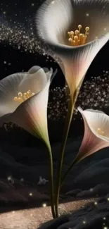 Elegant flowers glow against a starlit night background.