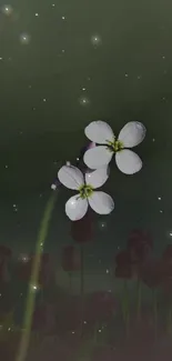 Delicate white flowers against a dark, starry sky.