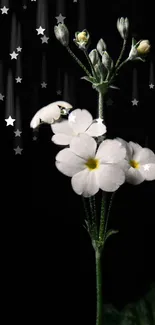 White flowers and stars on a black background mobile wallpaper.