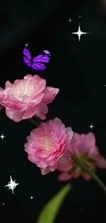 Pink flowers and purple butterfly on a dark background.