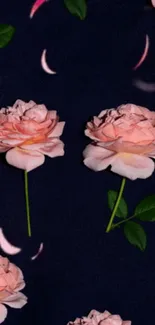 Pink roses on a dark background wallpaper.