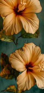 Orange hibiscus flowers on teal background.