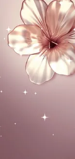 Elegant floral wallpaper with a pink flower on a soft gradient.