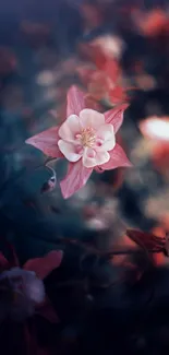 Elegant pink flower on dark background mobile wallpaper.