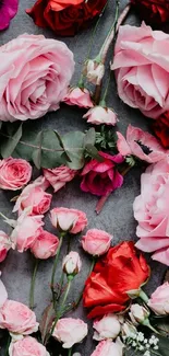 Pink and red roses on a gray background.