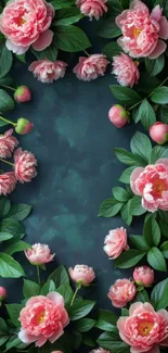 Pink peonies and green leaves on a dark background.