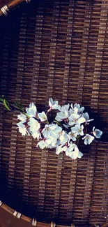 White flowers on rattan basket background.