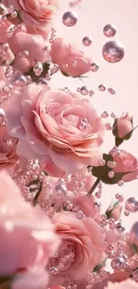 Soft pink roses with pearls mobile wallpaper.