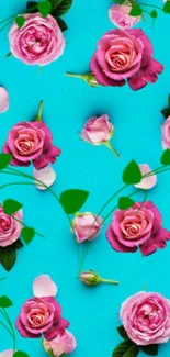 Charming pink roses on turquoise background wallpaper.