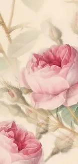 Vintage floral wallpaper with pink roses.