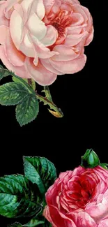 Elegant floral wallpaper with pink roses.