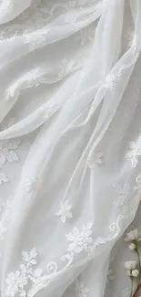 Elegant floral sheer lace with white flowers wallpaper.
