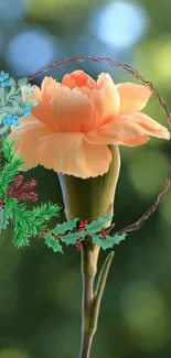 Peach flower with greenery on a blurred green background.