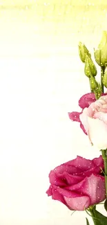 Elegant pink and white floral wallpaper for mobile.