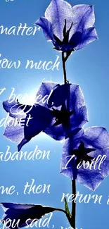 Purple flowers with inspirational text on a blue sky background.