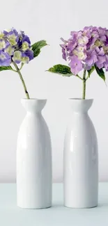 Two white vases with colorful hydrangeas on a light background.