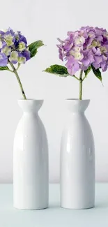 Elegant vases with purple hydrangeas on a white background.