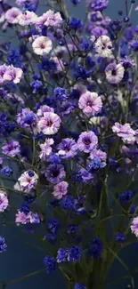 Purple and pink flowers on blue background wallpaper.