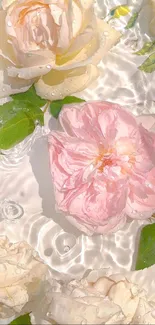 Elegant pink and white roses float on rippling water with green leaves.