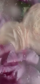 Close-up of petals with water droplets on a floral wallpaper.