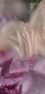 Delicate pink and purple flowers with water droplets as mobile wallpaper.