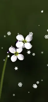 White flowers and snowflakes on dark green background.