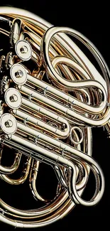 Shiny French horn with elegant curves on black background.