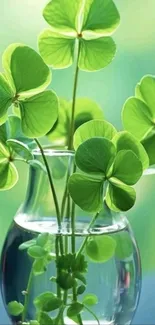 Fresh green leaves in a clear glass vase.