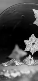 Monochrome frost crystal on glass sphere wallpaper.