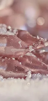 Close-up of frosted pink elements with delicate wintery feel.