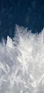 Intricate frost patterns on icy texture background.