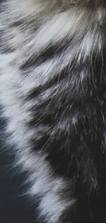 Close-up of elegant furry texture in black and gray tones for mobile wallpaper.