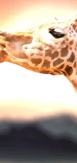 Giraffe profile at sunset with a serene background.