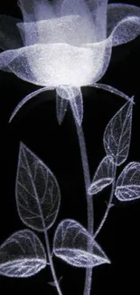 Elegant glowing rose with transparent petals on a dark background.