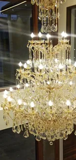 Elegant gold chandelier with crystal details and warm glow.