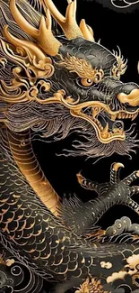 Elegant golden dragon on black background.