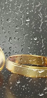 Gold wedding rings on raindrop glass background.