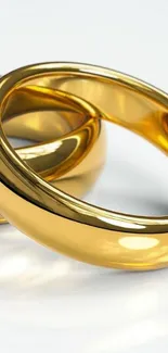 Elegant gold rings with reflective shine, ideal for a luxury wallpaper.