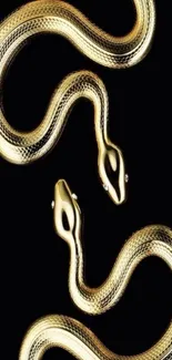 Elegant gold snake on black background mobile wallpaper.