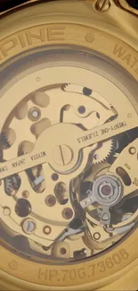 Close-up of an elegant gold watch mechanism.