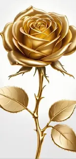 Golden rose artwork against white backdrop.