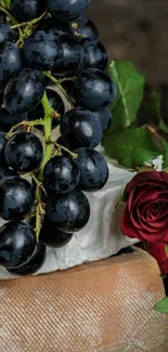 Dark grapes with red rose mobile wallpaper.