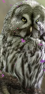 A gray owl perched on a branch with purple butterflies floating around.