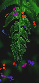 Dark green fern leaf close-up on a black background, ideal for mobile wallpaper.