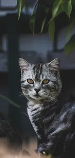 Elegant grey cat sitting, alert and poised.