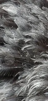 Intricate grey feather texture background wallpaper.