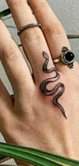 Hand with snake tattoo and stylish rings on fingers.