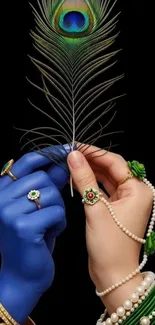 Elegant hand with jewelry holds a peacock feather on black.