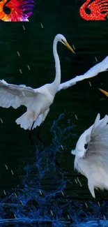 Elegant herons flying over vibrant water.