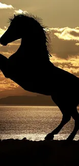 Majestic silhouette of a horse at sunset over tranquil waters.